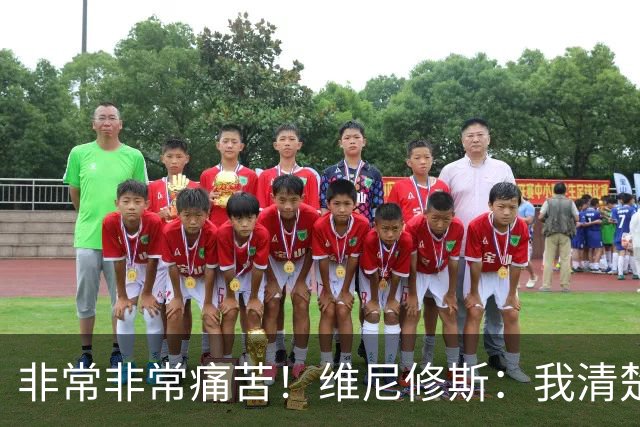 非常非常痛苦！维尼修斯：我清楚巴西很多没夺冠了，向球迷们致歉