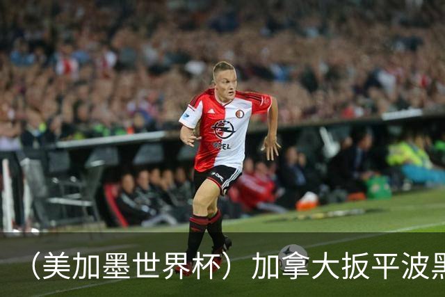 （美加墨世界杯）加拿大扳平波黑 获队史世界杯首分