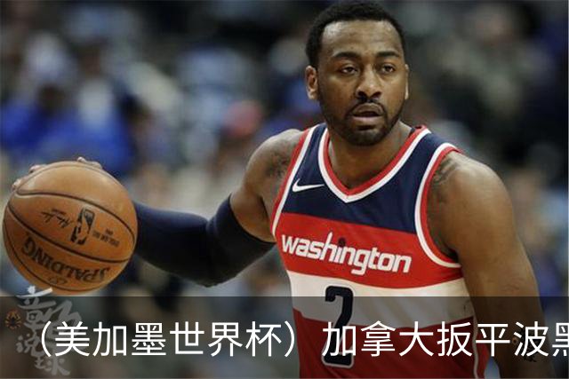 （美加墨世界杯）加拿大扳平波黑 获队史世界杯首分